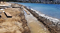 Bodrum’da tüyler ürperten manzara: Belediyeye şikayet yağdı
