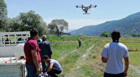 Çiftçiler çeltik tarlalarını dronelarla ilaçlıyor