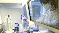 Koronavirüs tanısı, çok erken yapılan RT-PCR testlerinde hatalı olarak negatif çıkabilir