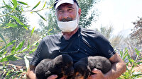 Yangını duyunca hemen köpeklere koştu: Yanan otluk alandaki yavruları kurtardı
