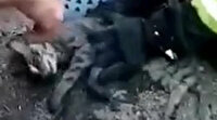 İtfaiye eri kediyi kalp masajıyla hayata döndürdü