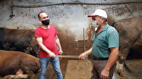 Kurbanlık alışverişinde el sıkışmadan değnekli pazarlık
