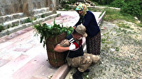 Yürek ısıtan fotoğraf: Yaşlı kadının yardımına koşan jandarma gönülleri fethetti