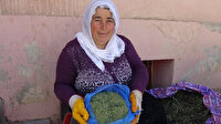 Dağlardan topladığı kekikler geçim kaynağı oldu