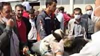 Kurban pazarlığı artık böyle yapılıyor