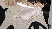 Muğla'da vahşet: Canlı canlı çuvala koyup çöpe attılar