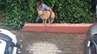 Kadıköy'de hayvanseverlerden belediyeye büyük tepki