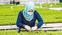 Konya tarımı Meram’dan geçecek
