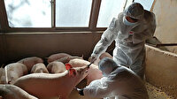 Çin'de yeni virüs alarmı: Pandemiye dönüşme riski var!