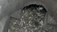 Rögara düşen yavru kedi uzun uğraşlar sonucunda kurtarıldı
