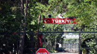 Yunanistan, kapıları yarın açıyor: Yerli müşterilerimiz var ama yabancı müşteri, iyi döviz bıraktığı için bekliyoruz