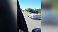 Fransa'da kaçan boğayı yakalayıp üstü açık araca bindirdiler