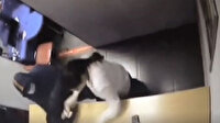 Rusya'da banka soygunu anı güvenlik kamerasında