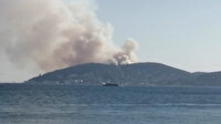 İstanbul son dakika haberi: Heybeliada'da korkutan yangın