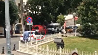 Davulcuların silahlı kavgası kamerada