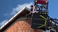Elektrik tellerine takılan karganın kurtarılma anı kamerada