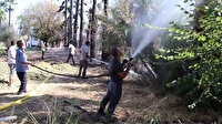 Muğla'da bir otelde çıkan yangına müdahale eden herkes yandı: 15 yaralı