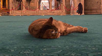 Ayasofya'nın bekçisi Gli