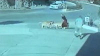 Sokak köpeklerinin saldırısına uğrayan kadını benzinlik çalışanı kurtardı