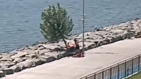 İBB, Florya sahilindeki ağaçları kesti