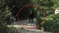 Firari boğa dehşeti: 40 saat sonra bulundu, iki kişiyi hastanelik etti