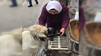 Yaşlı kadın sıcaktan bunalan köpeğe lastik ayakkabısını çıkarıp onunla su içirdi