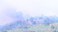 Edirne-Bulgaristan sınırında orman yangını çıktı