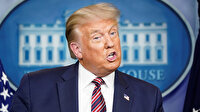 ABD Başkanı Trump: Oy pusulaları 'ölülere, kedilere ve köpeklere' gidiyor