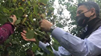 Bakan Bekir Pakdemirli sel bölgesinde fındık topladı