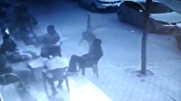 Gaziantep'te 2 yaşındaki çocuk, 2'nci kattan emlakçının üzerine düştü