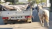 Bursa'da kamyonetin arkasına iple bağlanan atı kilometrelerce koşturdu