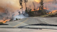 California'daki orman yangınları nedeniyle 5 bölgede acil durum ilanı