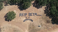 Temizlik işçilerinden mesire alanına çöp atanlara güldüren tepki: Ayıp beya