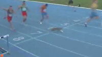 Finiş çizgisinde piste giren kedi yarışın son anlarına damgasını vurdu