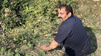 Çukura düşen ineği elinde bıçakla bekledi: Kurtaramazsak sucuk yaparız