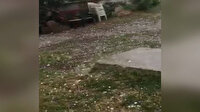 Sakarya'da ceviz büyüklüğündeki dolu yağışı kamerada