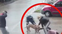Pitbull dehşeti kamerada: Küçük kızın bacağını kırdı