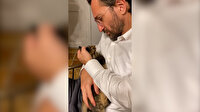 Panter şikayetlerini direkt Fahrettin Altun'a iletiyor