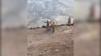 Azerbaycan askerleri Cebrail'in düşman işgalinden kurtuluşunu kutluyor