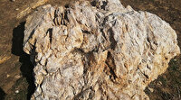 Erzurum'da ikinci altın rezervi heyecanı: 150 hektar alanda bir tonda, 1.3 gram altın, 7 gram gümüş rezervi bulundu