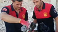 Çöken toprak ve kaya yığınının altında kalan yavru köpeği itfaiye ekipleri kurtardı