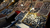 Tezgahlarda sardalya bolluğu yaşanıyor: Kilosu 10 lira