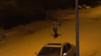 Kozan’da iş adamına silahlı saldırı: Saldırganın kaçtığı anlar kamerada