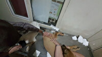 Çanakkale’de 19 köpek zehirlenerek telef edildi