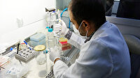 Vücut savunma sistemini enfeksiyonlara karşı koruyan vitamin geliştirildi