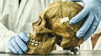 Bilim insanlarından ilginç açıklama: Kafatasında yeni bir organ bulduk