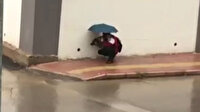 Antalya'da iç ısıtan görüntüler: Islanmasın diye şemsiyesiyle sokak köpeğinin başında bekledi