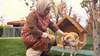 Emine Erdoğan'ın sahiplendiği engelli köpek 'Leblebi' yeni yerini çok sevdi
