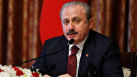 TBMM Başkanı Şentop: Anayasa Mahkemesinin kararı bağlayıcıdır