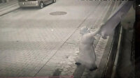 Şehit Esma Çevik'in babaevine asılan bayrağı yer attı, serbest kaldı